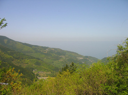 IMG_7230.jpg