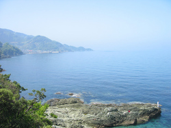 IMG_7234.jpg