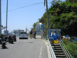 IMG_7241.jpg