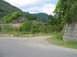 IMG_7272.jpg