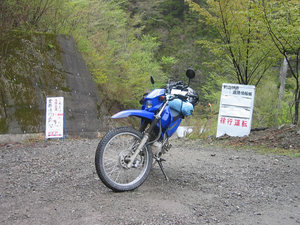 IMG_7317.jpg