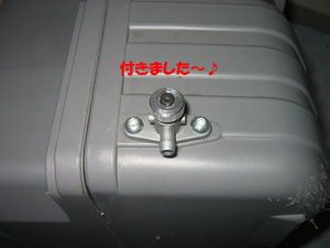 IMG_7347.jpg