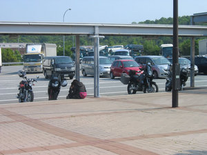 IMG_7354.jpg
