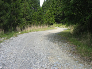 IMG_7356.jpg