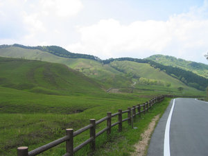 IMG_7361.jpg