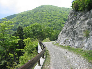 IMG_7364.jpg