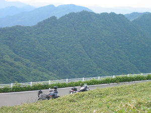 IMG_7460.jpg