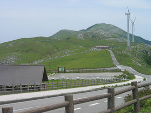 IMG_7466.jpg