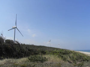 RIMG0010.jpg
