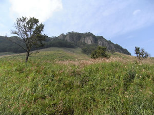 RIMG0018.jpg