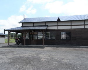 RIMG0041kayanol.jpg