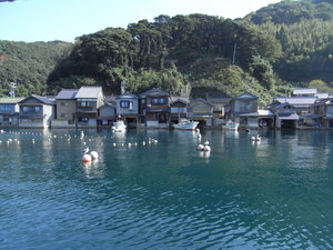 RIMG0080.jpg