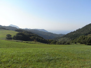 RIMG0097.jpg