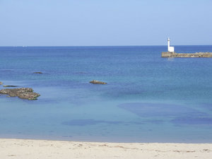 RIMG0116.jpg