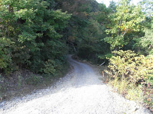 RIMG0124.jpg