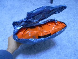 RIMG0518.JPG
