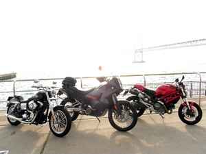 RIMG0569.JPG