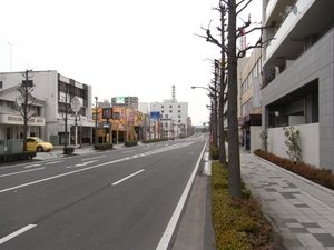 RIMG0697.JPG