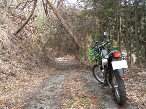 RIMG0808.JPG