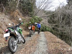 RIMG0809.jpg