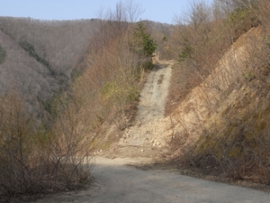 RIMG0905.JPG