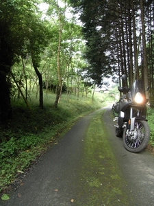 RIMG1018.JPG